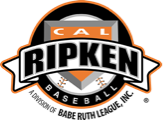 Cal Ripkin Baseball